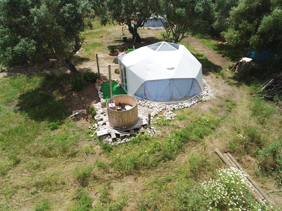 Forest Domes Setúbal Zewnętrze zdjęcie