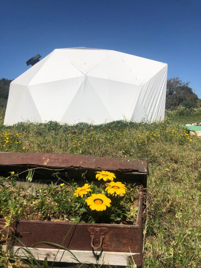 Forest Domes Setúbal Zewnętrze zdjęcie