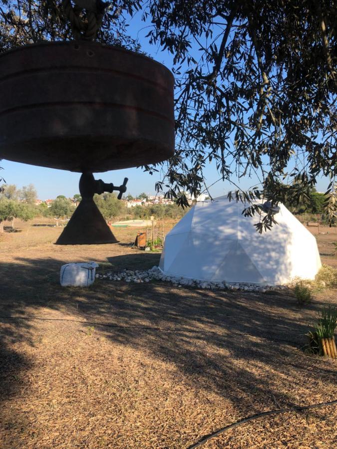 Forest Domes Setúbal Zewnętrze zdjęcie